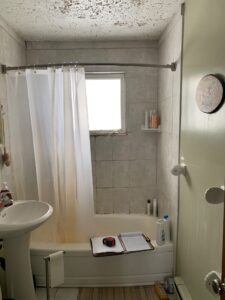 Bathroom Renovation