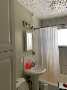 Bathroom Renovation